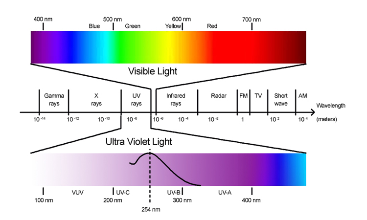 The Electromagnetic Spectrum